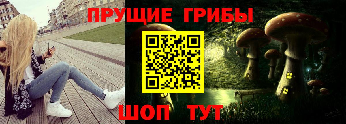 Галлюциногенные грибы Cubensis  Вход с VPN  Рославль 